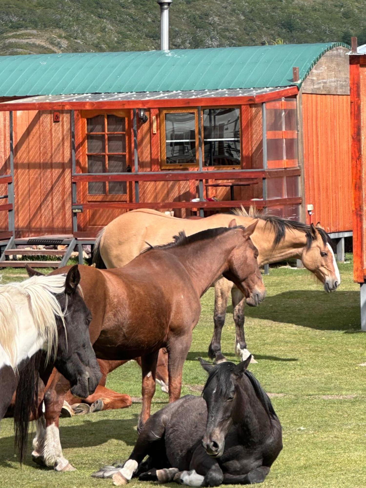 Konkashken Lodge Torres del Paine National Park Exterior photo