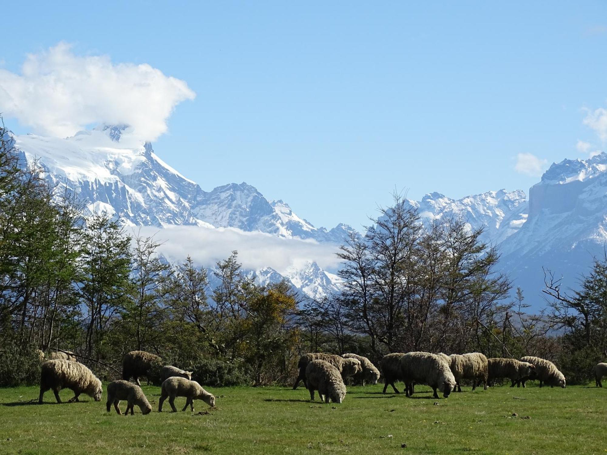 Konkashken Lodge Torres del Paine National Park Exterior photo